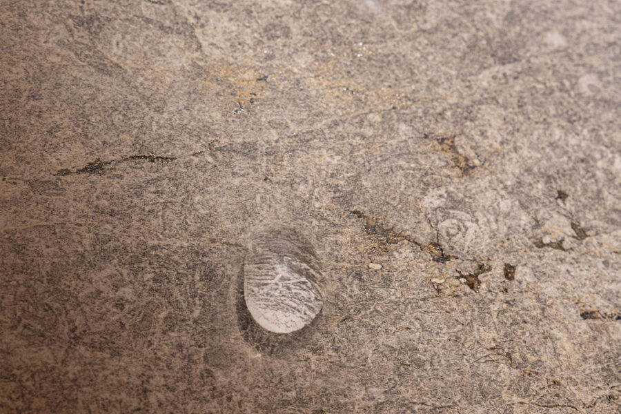 Gota de pegamento sobre cerámica